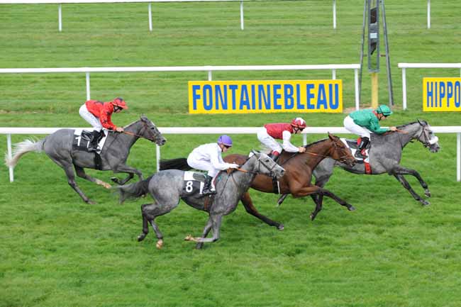 Arrivée quinté pmu PRIX DU ROCHER CASSEPOT à FONTAINEBLEAU