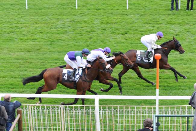Arrivée quinté pmu PRIX DES BUIS à FONTAINEBLEAU