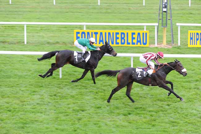 Arrivée quinté pmu PRIX JEAN GILLOIS à FONTAINEBLEAU