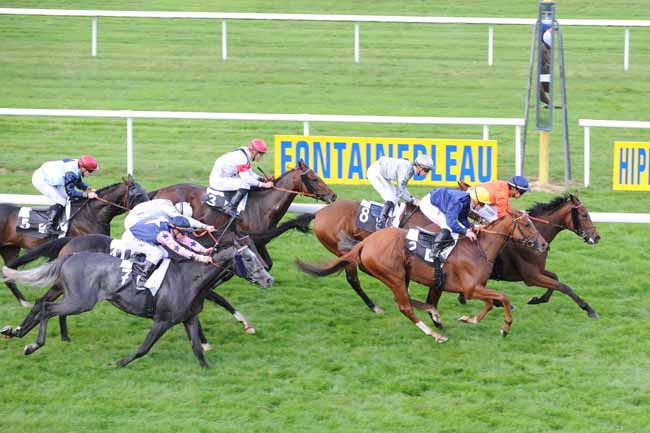 Arrivée quinté pmu PRIX DE LA LIGUE DE PROTECTION DU CHEVAL à FONTAINEBLEAU
