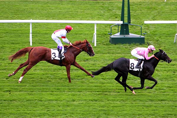 Arrivée quinté pmu PRIX POLYTAIN à SAINT-CLOUD