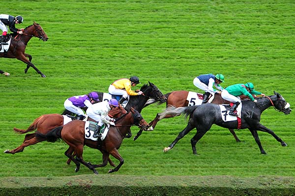 Arrivée quinté pmu PRIX CARDMANIA à SAINT-CLOUD