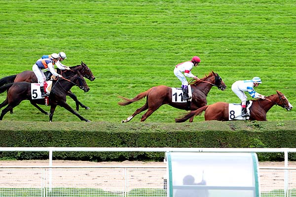 Arrivée quinté pmu PRIX CARD KING à SAINT-CLOUD