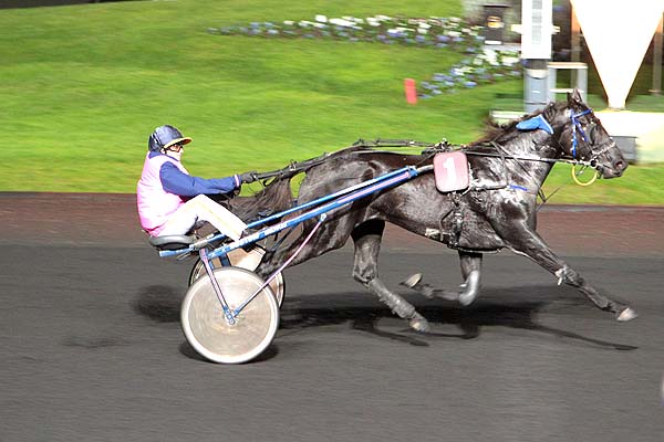 Arrivée quinté pmu PRIX CYRENE à PARIS-VINCENNES