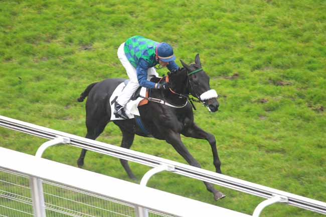Arrivée quinté pmu PRIX LUSIGNAN à AUTEUIL