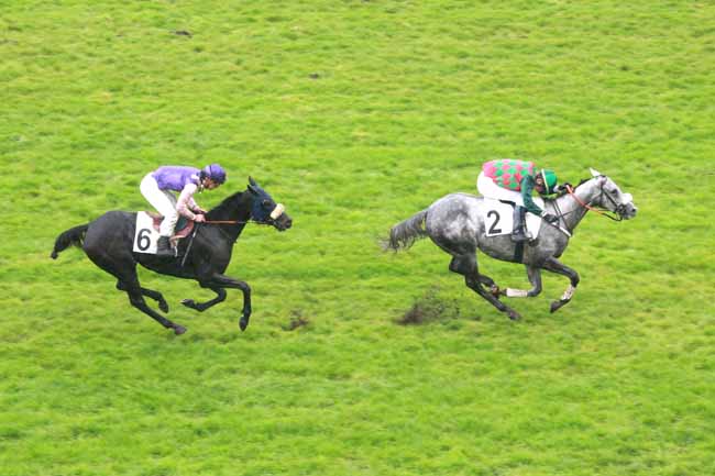 Arrivée quinté pmu PRIX DUC D'ALBURQUERQUE à AUTEUIL