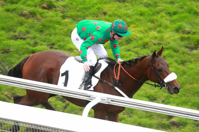 Arrivée quinté pmu PRIX PIERRE DE LASSUS à AUTEUIL