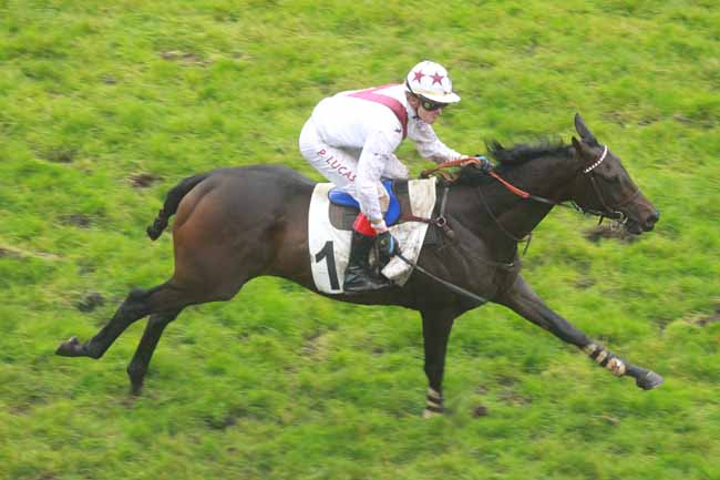 Arrivée quinté pmu PRIX DE L'AISNE à AUTEUIL
