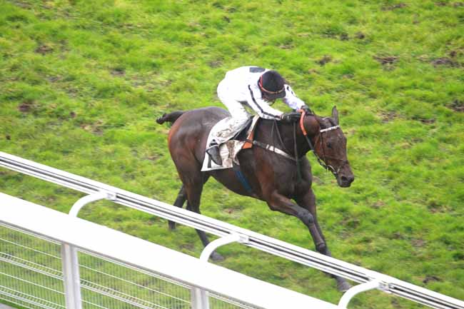 Arrivée quinté pmu PRIX PRINCE D'ECOUEN à AUTEUIL
