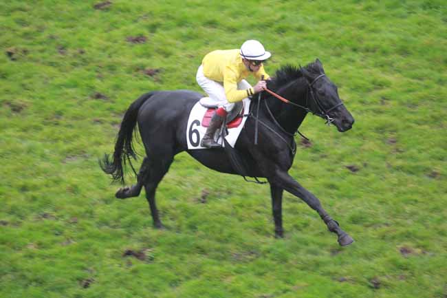 Arrivée quinté pmu PRIX ROGER SOULANGE-BODIN à AUTEUIL