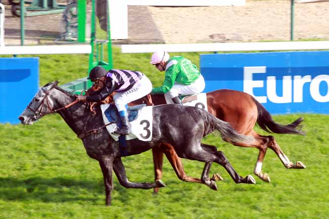 Arrivée quinté pmu PRIX DU CONSEIL DE PARIS à LONGCHAMP