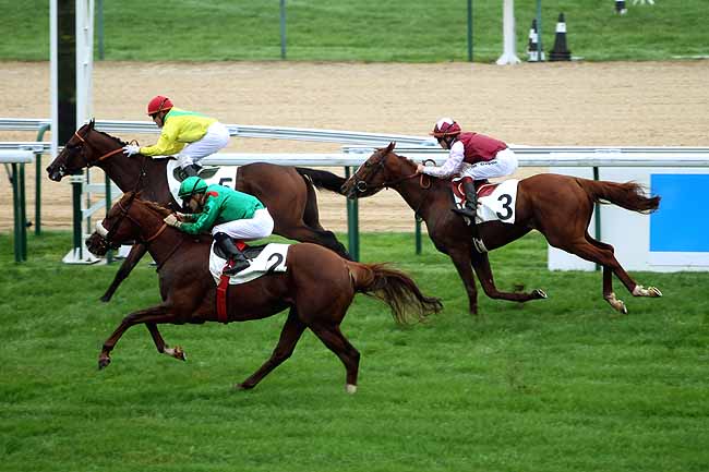 Arrivée quinté pmu PRIX DE DANESTAL à DEAUVILLE