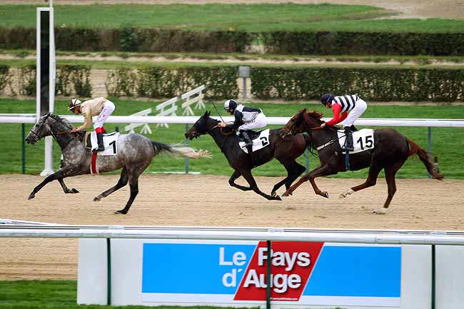Arrivée quinté pmu PRIX D'ANGUERNY à DEAUVILLE
