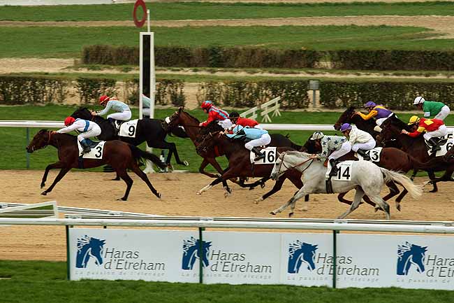 Arrivée quinté pmu PRIX DU POLE INTERNATIONAL DU CHEVAL à DEAUVILLE