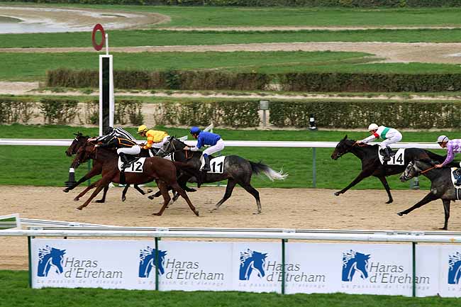 Arrivée quinté pmu PRIX DU GRAND MANEGE à DEAUVILLE