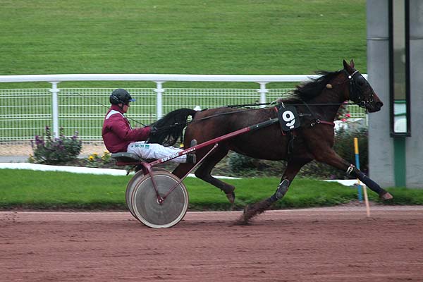 Arrivée quinté pmu PRIX DE SAINT-AMAND-LES-EAUX à ENGHIEN