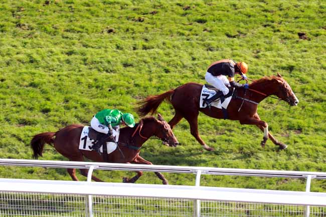 Arrivée quinté pmu PRIX CEREALISTE à AUTEUIL