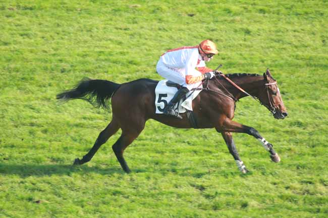Arrivée quinté pmu PRIX TRIQUERVILLE à AUTEUIL