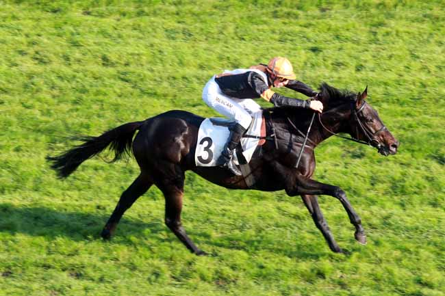 Arrivée quinté pmu PRIX MONCOURT à AUTEUIL