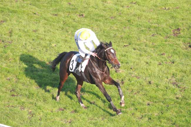 Arrivée quinté pmu PRIX PRE CATELAN à AUTEUIL