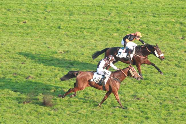 Arrivée quinté pmu PRIX LYONNAIS à AUTEUIL