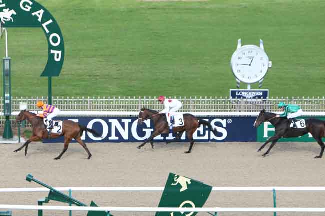 Arrivée quinté pmu PRIX DE LA PETITE PELOUSE à CHANTILLY