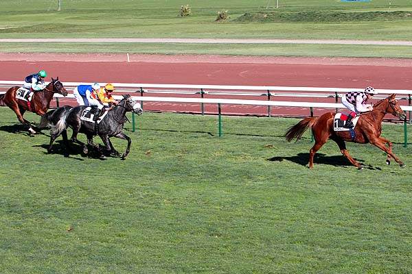Arrivée quinté pmu PRIX GYPTIS à MARSEILLE-BORELY