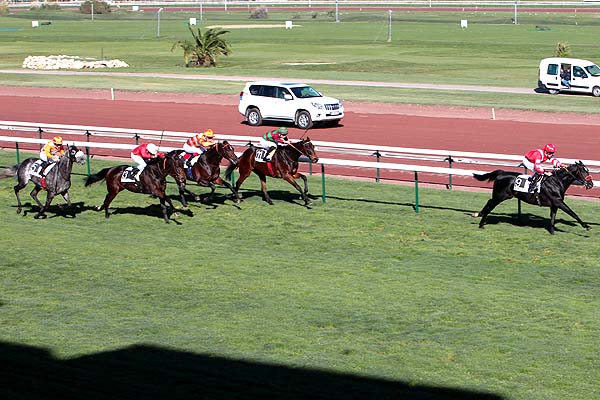 Arrivée quinté pmu GRAND HANDICAP DE MARSEILLE à MARSEILLE-BORELY