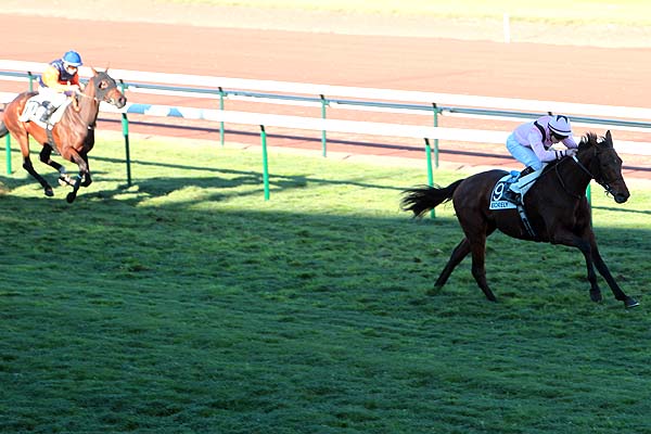 Arrivée quinté pmu PRIX DE LA GERBE D'OR à MARSEILLE-BORELY