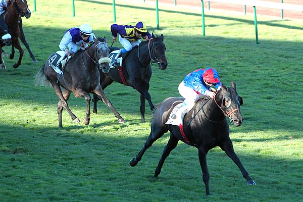Arrivée quinté pmu PRIX DE L'ASSOCIATION DES JOCKEYS à MARSEILLE-BORELY