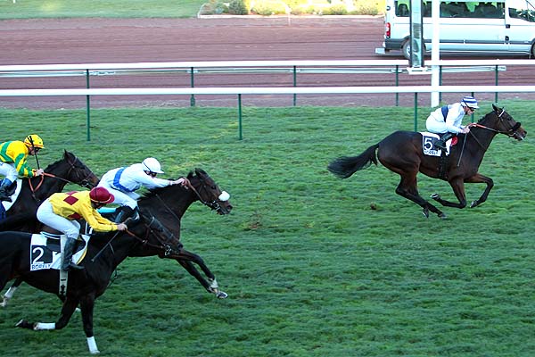 Arrivée quinté pmu PRIX CITE PHOCEENNE à MARSEILLE-BORELY