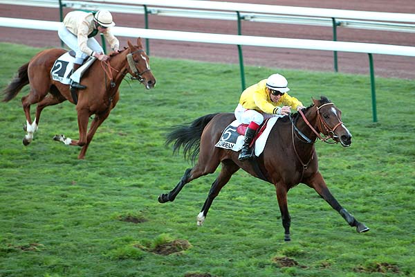 Arrivée quinté pmu PRIX SANARY à MARSEILLE-BORELY