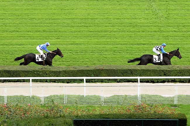 Arrivée quinté pmu PRIX SAGARO à SAINT-CLOUD