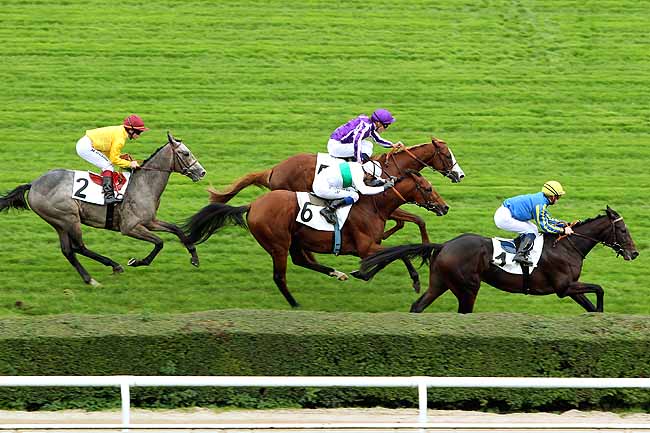 Arrivée quinté pmu PRIX KENDOR à SAINT-CLOUD