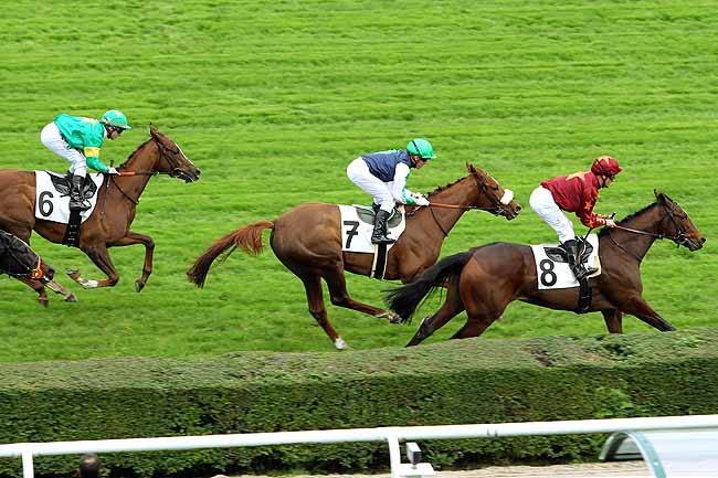 Arrivée quinté pmu PRIX RAVINELLA à SAINT-CLOUD