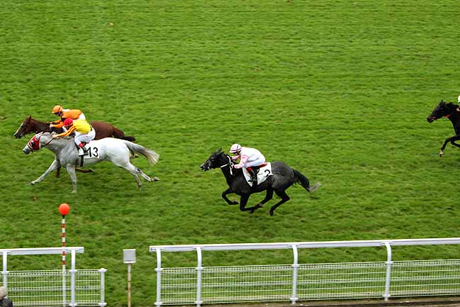 Arrivée quinté pmu PRIX DE LA VIEILLE PISTE à MAISONS-LAFFITTE