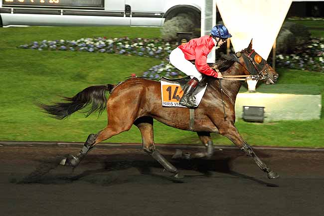 Arrivée quinté pmu PRIX BRUCIA à PARIS-VINCENNES