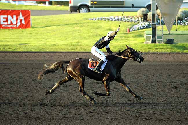 Arrivée quinté pmu PRIX REYNOLDS à PARIS-VINCENNES