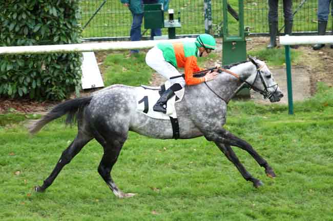 Arrivée quinté pmu PRIX DE LA GALERIE DES CERFS à CHANTILLY