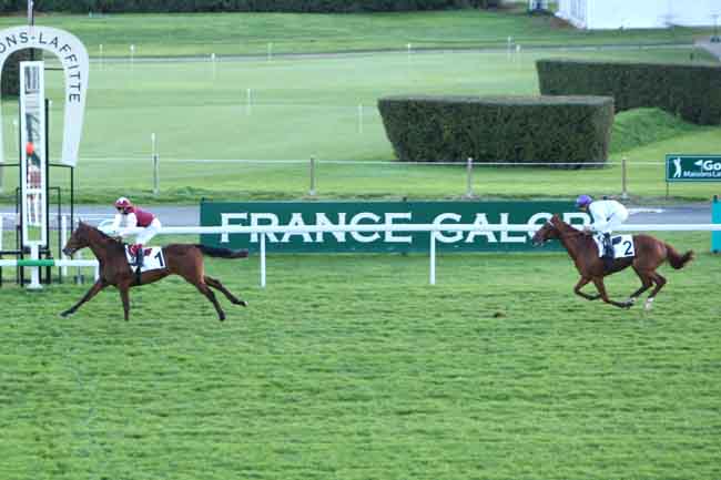 Arrivée quinté pmu PRIX FINASSEUR à MAISONS-LAFFITTE