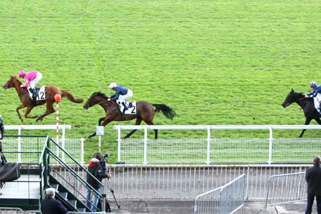 Arrivée quinté pmu PRIX DU RHIN à MAISONS-LAFFITTE