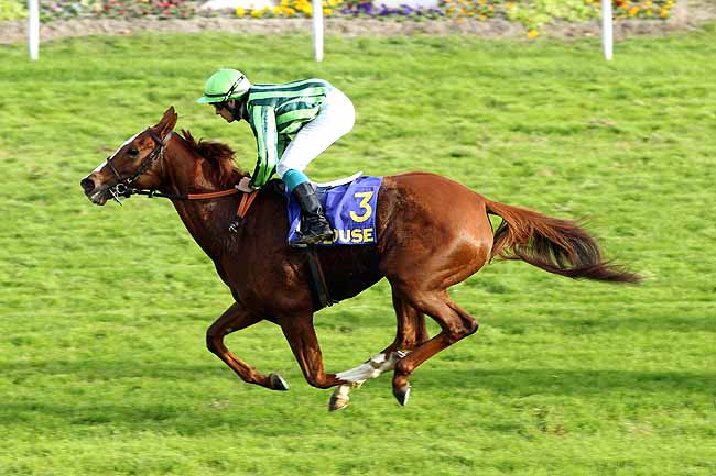Arrivée quinté pmu PRIX FILLE DE L'AIR à TOULOUSE