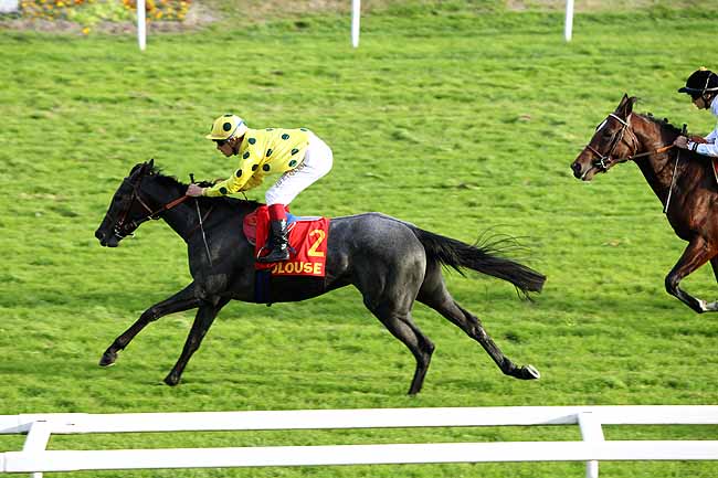Arrivée quinté pmu PRIX DE LA VILLE DE CUGNAUX à TOULOUSE