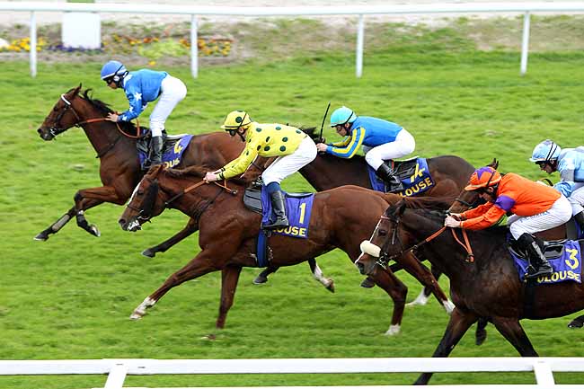 Arrivée quinté pmu PRIX DE BELLERIVE à TOULOUSE