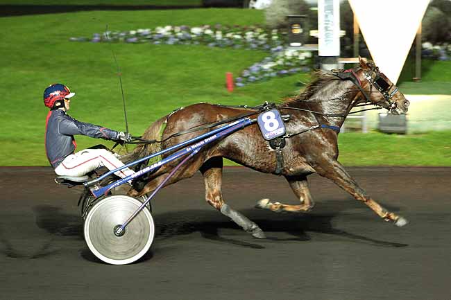 Arrivée quinté pmu PRIX GEMMA à PARIS-VINCENNES