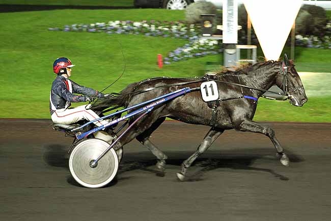 Arrivée quinté pmu PRIX PALATIA à PARIS-VINCENNES