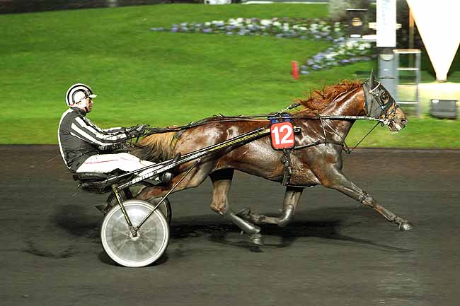 Arrivée quinté pmu PRIX CERES à PARIS-VINCENNES