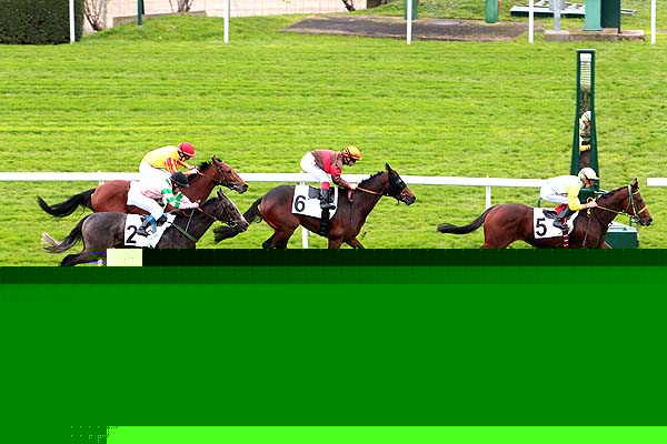 Arrivée quinté pmu PRIX HAUBAN à SAINT-CLOUD