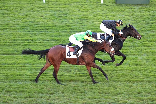 Arrivée quinté pmu PRIX DES NAIADES à SAINT-CLOUD