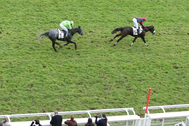 Arrivée quinté pmu PRIX DU JOURNAL GENYCOURSES - PRIX MARC ANTONY à AUTEUIL